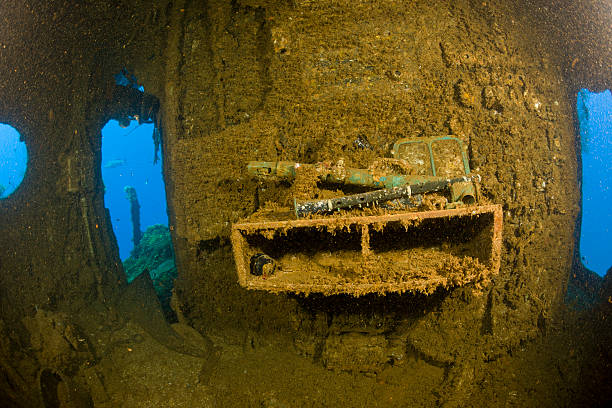 Military Artifacts - Image 3