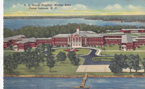 Document Collection - Image 2