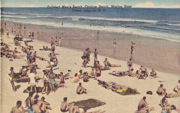 Document Collection - Image 3